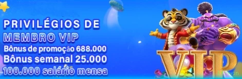 Programa VIP I999win